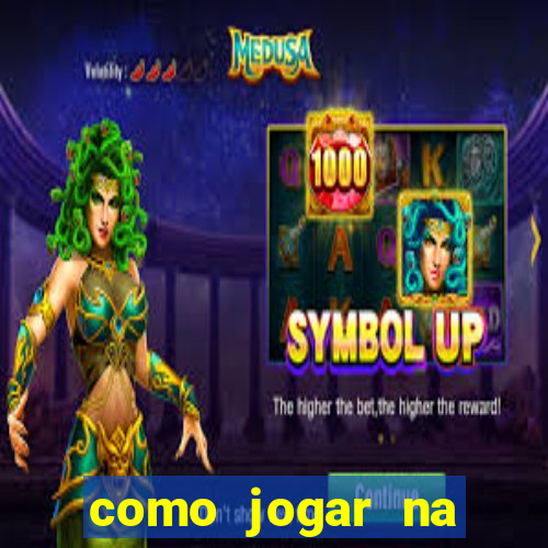 como jogar na seninha online